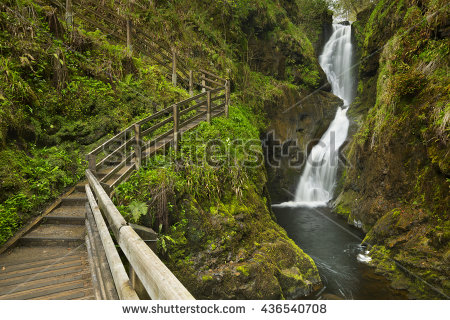 ss-na-laragh-waterfall-in-glenariff-forest-park-in-northern-ireland-436540708 (1)